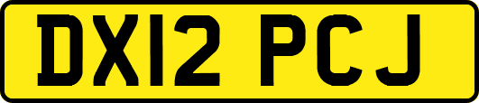 DX12PCJ