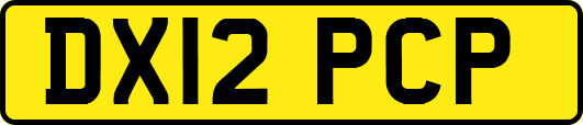 DX12PCP