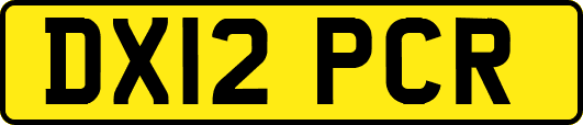 DX12PCR