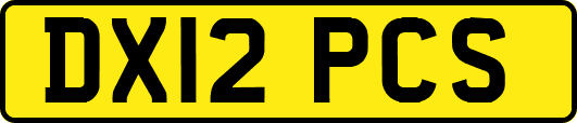 DX12PCS
