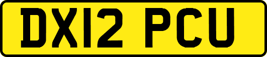 DX12PCU