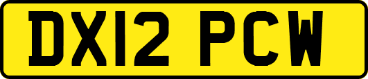 DX12PCW