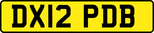DX12PDB