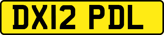 DX12PDL