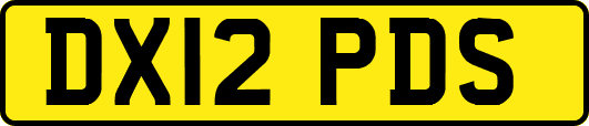 DX12PDS