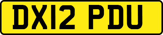 DX12PDU