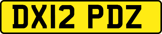 DX12PDZ