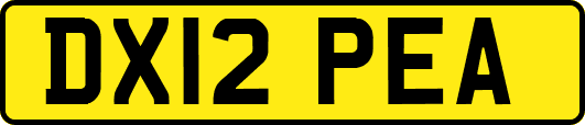 DX12PEA