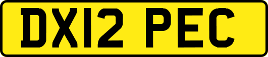 DX12PEC