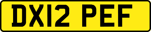 DX12PEF
