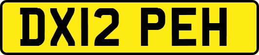 DX12PEH