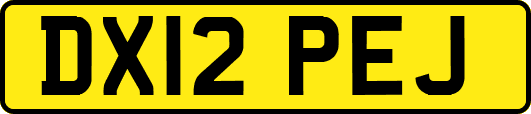 DX12PEJ