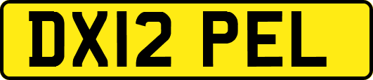 DX12PEL