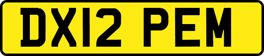 DX12PEM