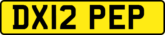 DX12PEP