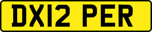 DX12PER