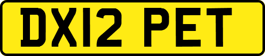 DX12PET