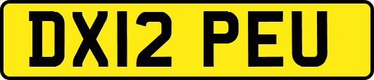 DX12PEU