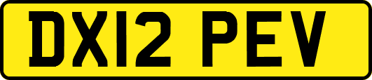 DX12PEV