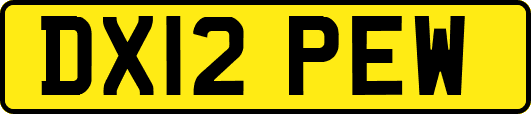 DX12PEW