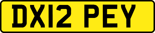 DX12PEY