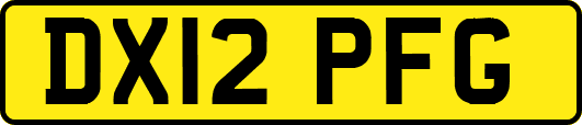 DX12PFG
