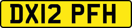DX12PFH
