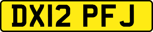 DX12PFJ