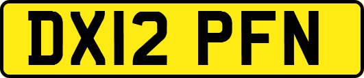DX12PFN