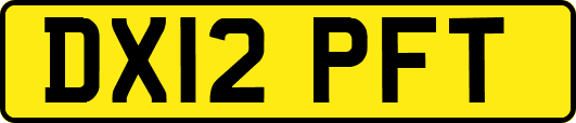 DX12PFT