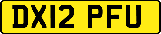 DX12PFU