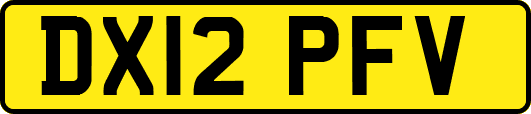 DX12PFV
