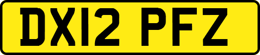 DX12PFZ