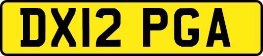 DX12PGA