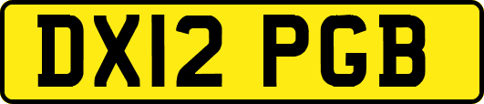 DX12PGB