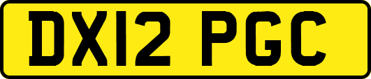 DX12PGC