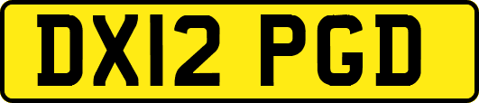 DX12PGD