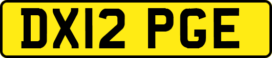 DX12PGE