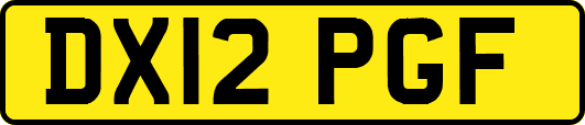 DX12PGF