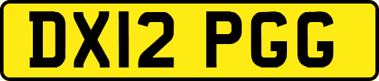 DX12PGG
