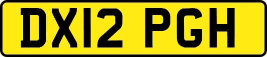 DX12PGH