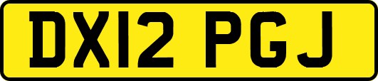 DX12PGJ
