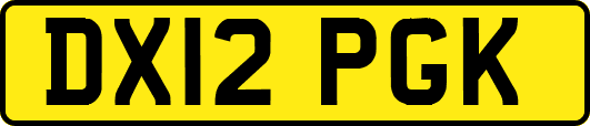 DX12PGK