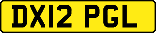 DX12PGL