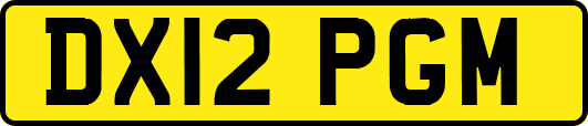 DX12PGM