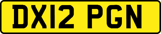 DX12PGN