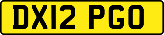 DX12PGO