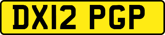 DX12PGP