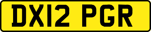 DX12PGR