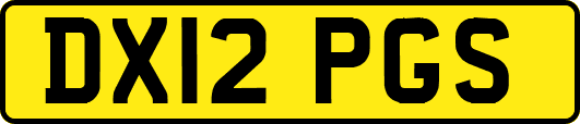 DX12PGS